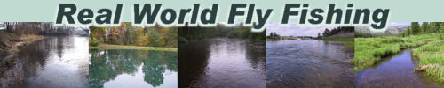 Real World Fly Fishing